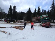 Ein Holztransporter ist beim Beladen von Holz von der Fahrbahn abgekommen.