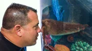 Wayde King looking closely into Tracy's octopus tank with his nose up against the glass.