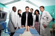 (2. Staffel) - Dr. Gregory House (Hugh Laurie, 3.v.l.) steht ein erstklassiges Team zur Seite: Dr. Eric Foreman (Omar Epps, l.), Dr. Allison Cameron (Jennifer Morrison, 2.v.l.), Dr. Robert Chase (Jesse Spencer, 3.v.r.), Dr. Lisa Cuddy (Lisa Edelstein, 2.v.r.) und Dr. James Wilson (Robert Sean Leonard, r.)