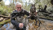 Jeremy Wade is behind the middle of the giant freshwater crayfish.
