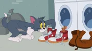 v.li.: Tom, Jerry
