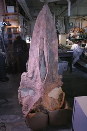 Squalodon-Schädel aus der Serie Prehistoric Predators des National Geographic Channel im Paläo-Labor des Naturkundemuseums von Los Angeles