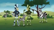 Martin (re.) und Chris haben sich als Zebras verkleidet, um näher an die Zebra-Herde heranzukommen.