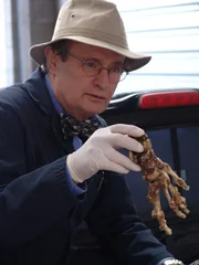 Ducky (David McCallum) untersucht ein Skelett, dass im Truck des Petty Officer Dobbs gefunden wurde ...