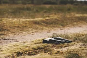 Crime scene