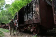 Mark Waycaster examines Malayan Box Car and Carriagees in Jungles of Sai Yok, Thailand. (National Geographic/Woody Ledeboer)