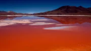 Die Laguna Colorada, die „Bunte Lagune“, im Südwesten Boliviens. Der See hat seinen Namen aufgrund seiner auffälligen roten Färbung, die von der vorherrschenden Algenart und vom hohen Mineralstoffgehalt seines Wassers hervorgerufen wird. Der See ist für seine großen Bestände von Flamingos der drei Arten Chileflamingo, Andenflamingo und Jamesflamingo bekannt.