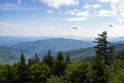 Great-Smoky-Mountains-Nationalpark, Tennessee, USA