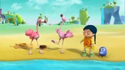 Die Flamingos Francois und Francine haben Wissper und Peggy um Hilfe gebeten, weil sie ihr Ei vermissen.