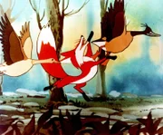 Der Fuchs Smirre im Kampf mit den Wildgänsen.