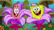 L-R: Patrick, SpongeBob