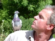 Felix Heidinger hat sich mit einer Taube angefreundet.