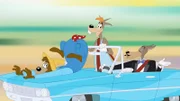 v.li.: Southern Wolf, Country Wolf, City Wolf