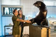 Seebär Buster ist ein freundliches Tier. Nicht alle Tiere begrüßen die Tierärztinnen Susanne Mertens (Elisabeth Lanz, l.) und Karoline Schneider (Maxine Kazis, r.) mit Handschlag.