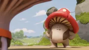 Mush-Mush