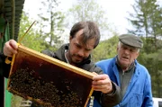 In Slowenien sind ausschließlich artenreine Krainer Bienen erlaubt. Erik Luznar (li.) und sein Vater züchten ihre Bienenköniginnen selbst. Sie sind der Schlüssel zum Arterhalt.