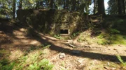 Teil des sogenannten Westwalls: Versteckte Unterstände im Wald der Nordeifel