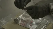 CBP-Beamter Cisneros kippt Pillen aus einem kleinen Plastikbeutel auf einen Inspektionstisch, nachdem sie in einem verschickten Paket entdeckt wurden. (National Geographic)