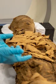 Die Mumie der Ta-sherit-en-Imen wird untersucht, um Alterskrankheiten im Alten Ägypten zu erforschen.
