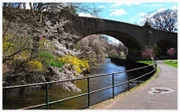 The Second River passes through Branch Brook Park during its Cherry Blossom peak season.