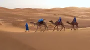 Bis heute ziehen Beduinen als Nomaden durch die Sahara, wobei Dromedare ihre unentbehrlichen Begleiter sind.