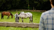 Jenny (Amina Merai) ärgert Dimitri (Matti Schmidt-Schaller) indem sie ein Pferd bemalt.