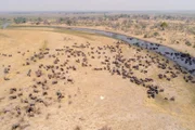 Grenzgänger: Im Dreiländereck von Botsuana, Sambia und Simbabwe kommt es oft zu langen Staus. Die LKWs blockieren die traditionellen Zugwege der Elefanten. Die intelligenten und anpassungsfähigen Tiere finden dennoch einen Weg.