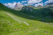 Die Schweizer Alpen sind eine der grandiosesten Landschaften der Welt.