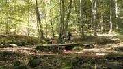 Klaus und Heike Metz in ihrem Waldstück, um nach Steinen und Holz zur Weiterverarbeitung zu suchen.