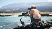 Mitten im Pazifik der Galapagos-Archipel. Die Inseln gelten als Arche der Evolution. Nirgendwo sonst gibt es ein solch seltsames Sammelsurium an Tieren. Reges Interesse an den Filmarbeiten zeigte dieser junge Kormoran auf Fernandina.