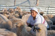 Vjollca Limoj beim Melken der Schafe. Aus der Milch macht sie Käse – eine Haupteinnahmequelle der Familie.