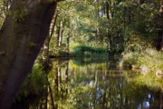 Der Spreewald ist auch besonders im Sommer reizvoll, wenn die romantischen Wasserstraßen, sogenannte Fließe, sich schimmernd durch das Grün der Wälder ziehen.