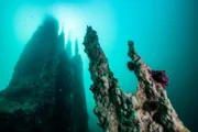 In einem abgelegenen Fjord in Grönland wachsen gewaltige Säulen aus dem Meeresboden. Sie bestehen aus dem Mineral Ikait – ein weltweit einmaliges Phänomen.