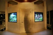 Paul George's twin tanks look great in his radial wall!