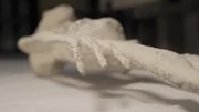 Die weißen Nasca Mumien haben an Händen und Füßen jeweils nur drei Finger und Zehen.