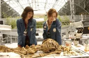 Angela Montenegro (Michaela Conlin, li.) und Dr. Temperance Brennan (Emily Deschanel) untersuchen eine skelettierte Leiche, die in einem Teich auf dem Arlington Nationalfriedhof gefunden wurde.