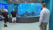The Imaginarium Science Center in Fort Myers, Florida is adding a new and exciting attraction built by ATM! Wayde and Brett design their very first, ship shaped tank with a scale replica of the USCGC Mohawk inside. Since this behemoth tank is over 15 feet long and 8 feet high, nailing the shape of this acrylic ship is nothing but headaches and prop master Denny puts in hundreds of hours recreating a miniature Mowhawk as well.