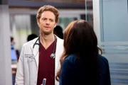 Dr. Will Halstead (Nick Gehlfuss)