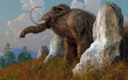 Mamut / A mammoth standing among stones on a hillside.