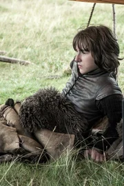 Bran Stark (Isaac Hempstead Wright)