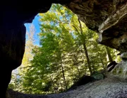 Die Schnalzhöhlen dienten angeblich einst als Zufluchtsorte in Kriegszeiten. Heute liegen sie in einem ausgedehnten Naturwald, in dem kein Baum mehr gefällt wird. Die Natur darf sich hier entwickeln, wie sie will.