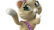 Pilou ist das kleinste Kätzchen der "Buffycats".