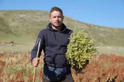 Lucjano Limoj mit einem Bündel Bergtee – eine Delikatesse, die in Süd-Albanien und Nord-Griechenland in Höhenlagen ab 1.000 Meter wächst