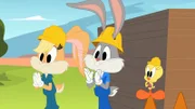 v.li.: Lola Bunny, Bugs Bunny, Tweety