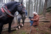 Pepi Reingruber und Stefan Denkmayer aus dem oberen Mühlviertel. Sie sprechen mit ihren Pferden, wenn sie schwere Baumstämme aus den unwegsamen Waldgebieten ziehen (rucken). Die echten Pferdeflüsterer, die mit Pferden sprechen. Erich Pröll (r.)