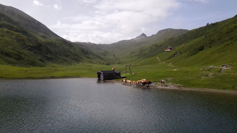 Rauf auf die Alm – Am Tappenkarsee (A, 2022)