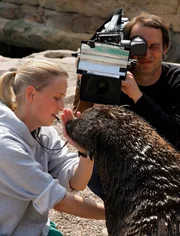 ARD/RB SEEHUND, PUMA & CO, Zoogeschichten von der Küste, 25-teilige Doku-Reihe täglich ab Donnerstag, 22.11.2007 immer um 16:10 Uhr im Ersten. Der Radio-Bremen-Kameramann Stefan Paul nimmt im "Zoo am Meer" in Bremerhaven die Tierpflegerin Constanze Czech zusammen mit einem Seebären auf. © Radio Bremen/Ingo Wagner, honorarfrei - Verwendung gemäß der AGB im engen inhaltlichen, redaktionellen Zusammenhang mit genannter RB-Sendung und bei Nennung "Bild: Radio Bremen/Ingo Wagner" (S2). RB TV/PressestelleRadio Bremen, Presse- und Öffentlichkeitsarbeit, 28100 Bremen, Tel: 0421/246-41017, Fax: -41096, presseinfo@radiobremen.de, www.radiobremen.de/presse