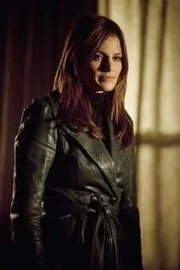 Detective Kate Beckett (Stana Katic)