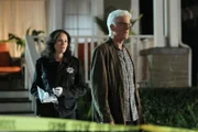 Sara (Jorja Fox) und D.B. Russell (Ted Danson) suchen fieberhaft nach Hinweisen auf den Verbleib von D.B.'s entführter Enkelin. Wird D.B. Kaitlyn noch lebend wiedersehen?  +++