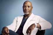 Dr. Richard Webber (James Pickens Jr.)